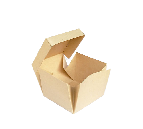Biodegradable Kraft Burger Box (Tray-Style)