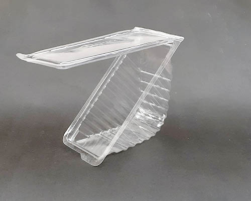 Medium PET Sandwich Wedge