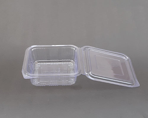 Clear PET Hinged Box