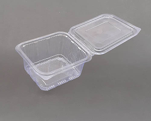 Clear PET Hinged Deli Box