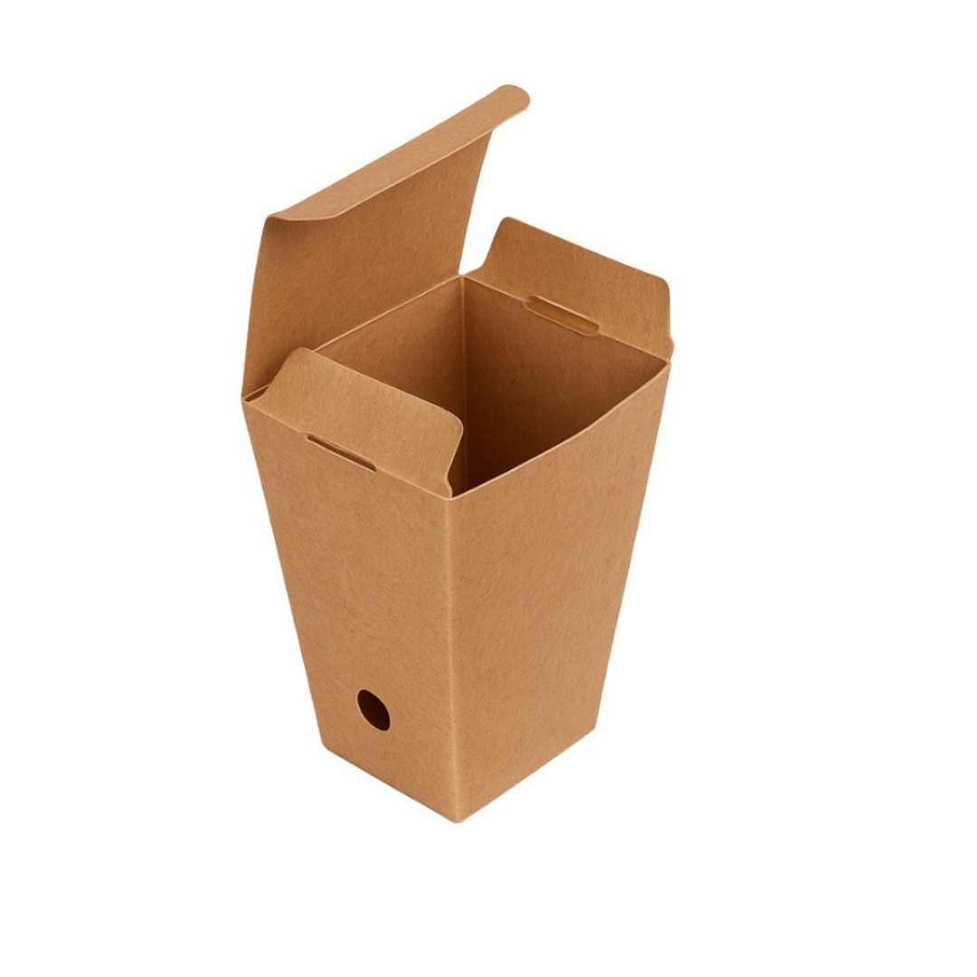 Disposable Eco-Mini Snack Box
