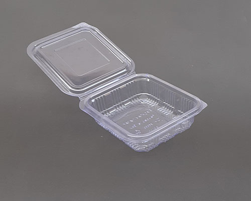 Clear PET Hinged Dabba