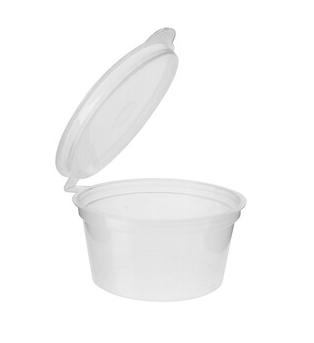 Transparent Hinge Lid Container