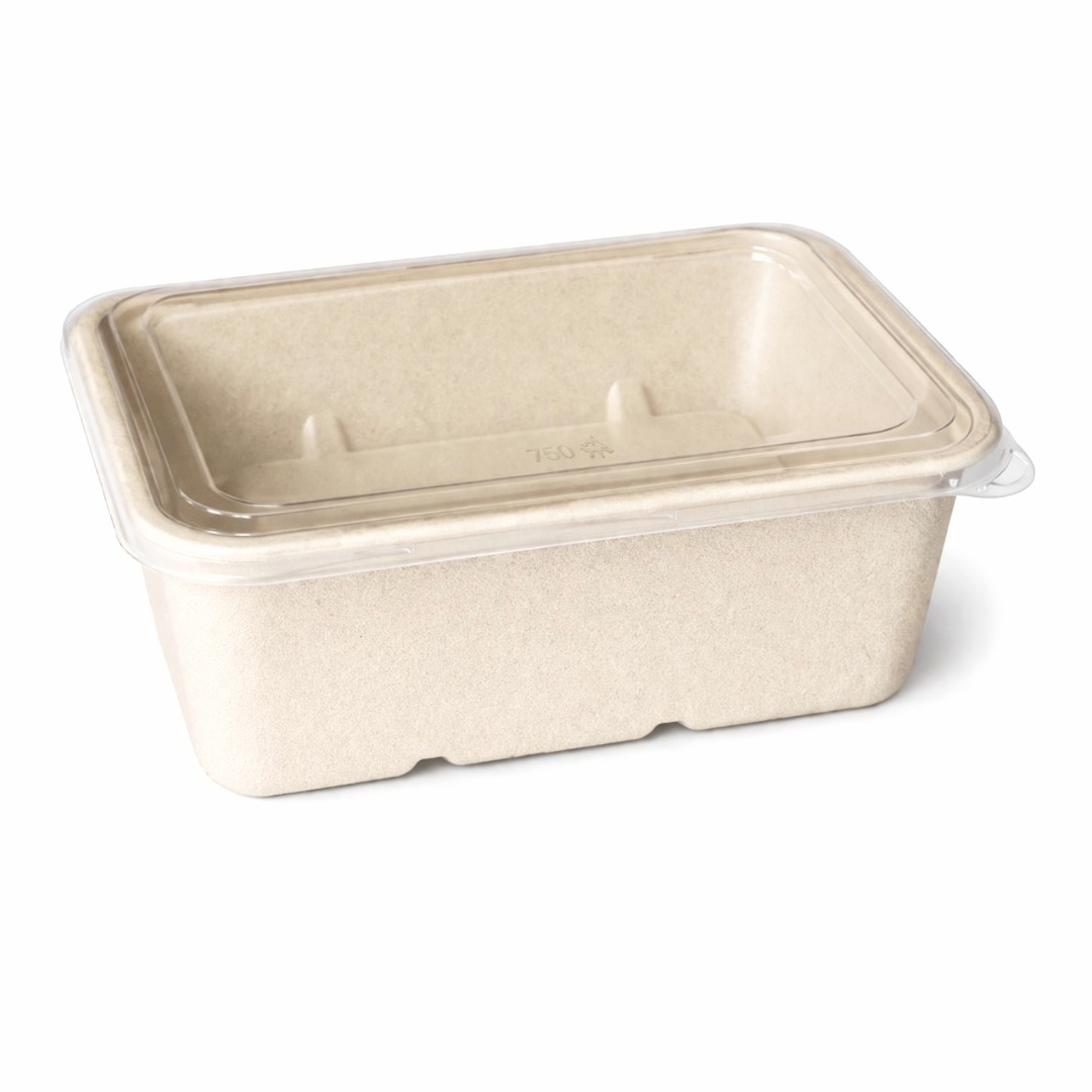 Extra-Large Sugarcane Fiber Container with Clear Lid