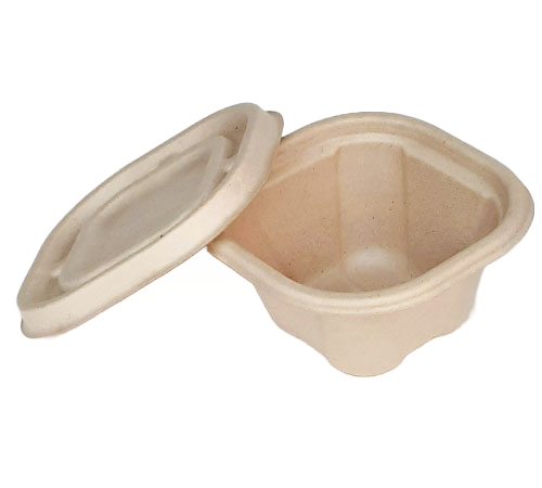 Square Food Delivery Bagasse Bowl