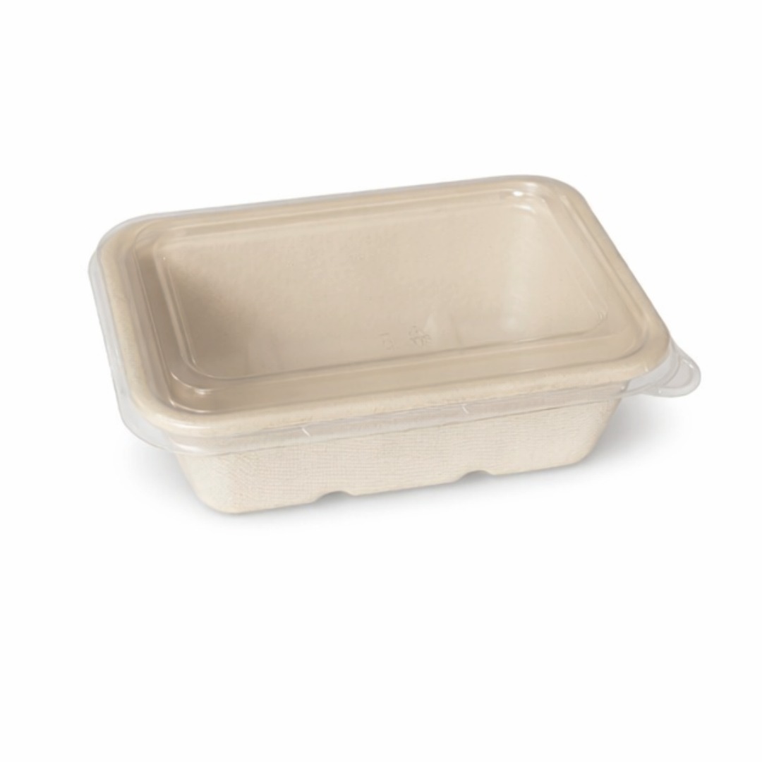 Sugarcane Fiber Meal Box with Anti-Fog PET Lid