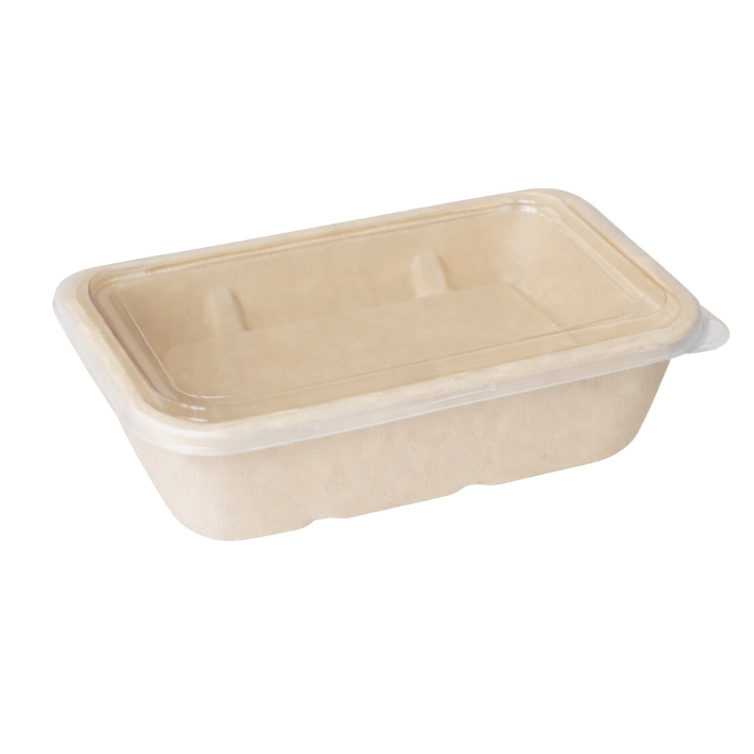 Sugarcane Pulp Container with High-Visibility Clear Lid