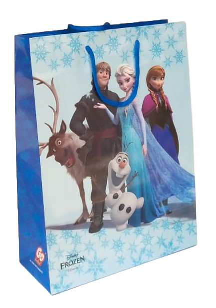 Paper Return Gift Bag for Disney Frozen Theme