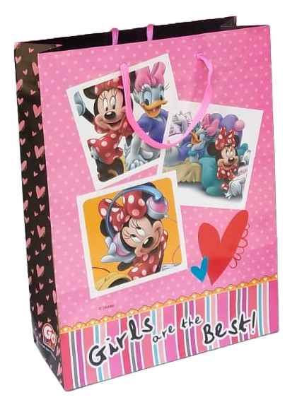 Paper Return Gift Bag for Girls Are The Best Theme