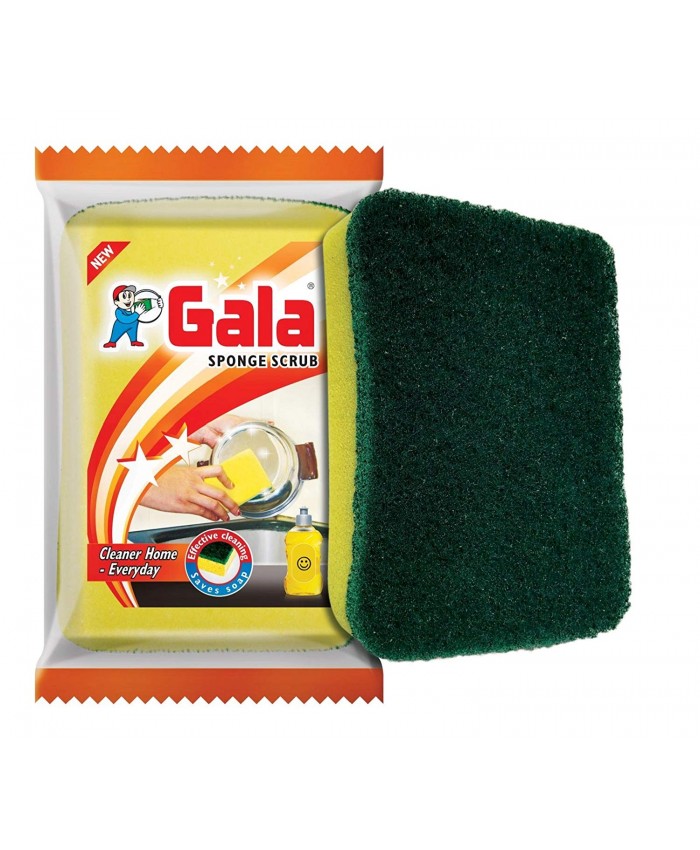 Gl Sponge Scrub 1