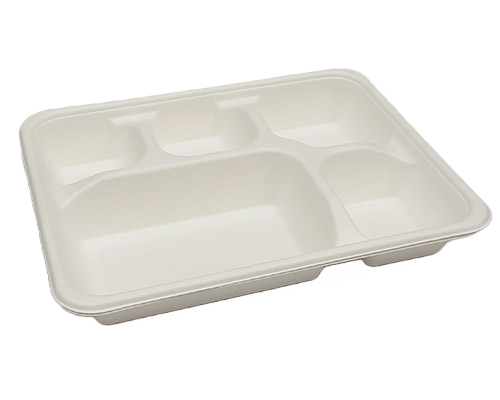 Premium 5-Portion White Bagasse Thali Tray