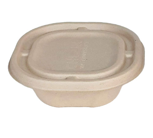 750 Ml Square Food Delivery Bagasse Bowl