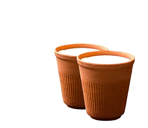 200 ML Mitti Kulhad (Clay Cup)