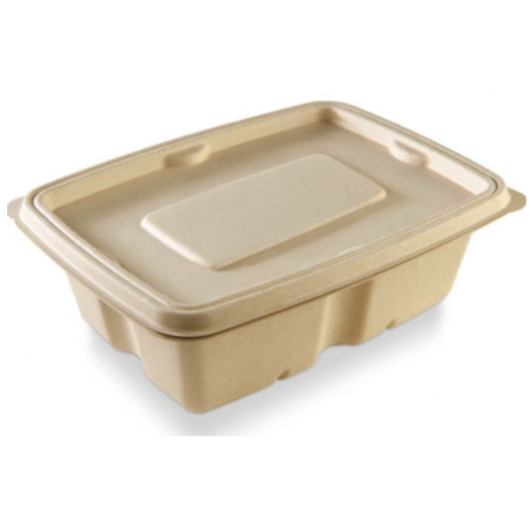 1000 Ml Rectangular Anti Leak Bagasse Container